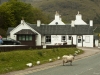 even sheeps take care of traffic rules