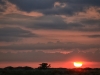 Sonnenuntergang in den Dünen von Blavandt